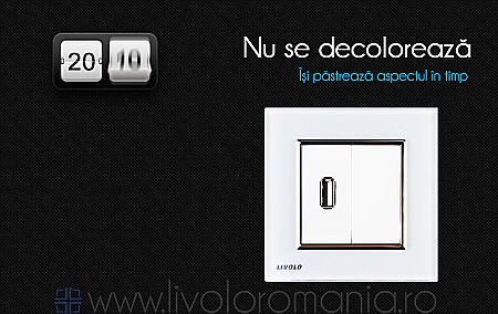 Priză simplă USB auriu [4]