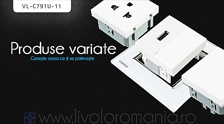 Priză simplă USB auriu [1]