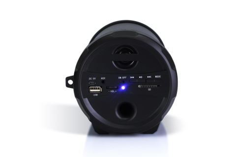 Boxă Portabilă cu Bluetooth 5.0, Radio FM, Player USB și MicroSD, Putere 10W RMS, Lumini LED și Curea de Transport [1]
