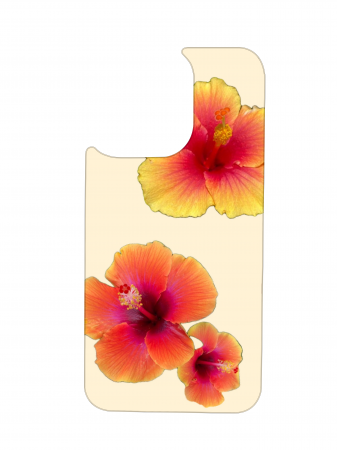 MagChange Plate, Beach Please, Spate Interschimbabil [22]