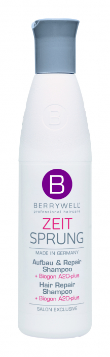 Repair Shampoo [2]