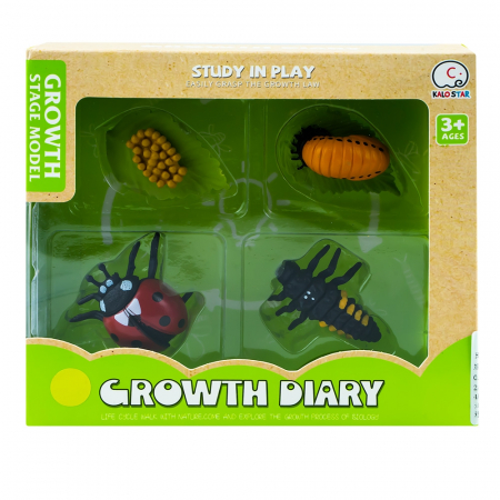 Figurine - Animale Plastic - Set figurine, ciclul vietii buburuzei