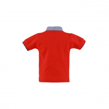 Tricou Polo si pantaloni scurti bebelusi NelBlu 12 luni [1]