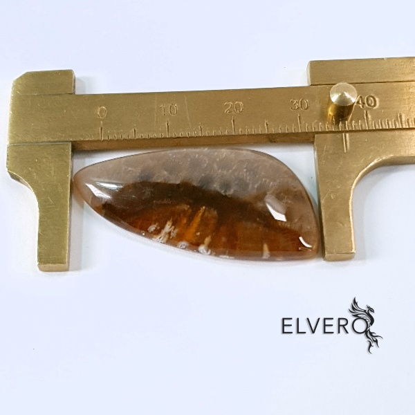 Coral fosilizat natural cabochon * [2]