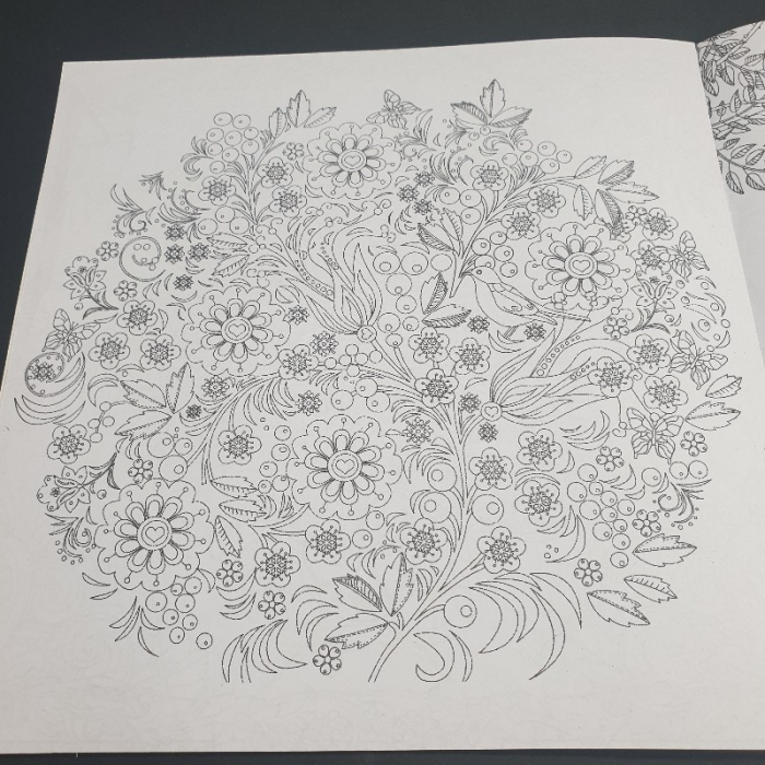 Mystery Garden, carte de colorat pentru copiii si adulti [3]