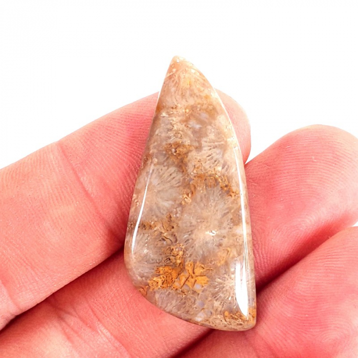 Coral fosil natural cabochon de 42 mm, culoare nativa [2]