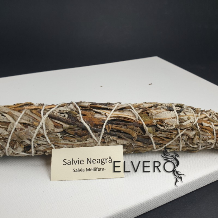 Salvie neagră, buchet mare, 22 cm, pentru fumigatii, Salvia Mellifera [4]