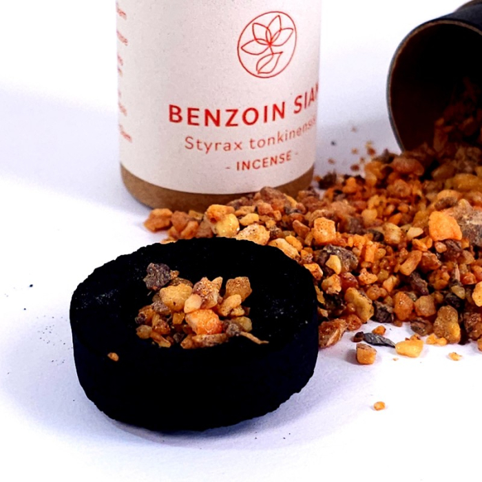 Tamaie Benzoin Siam si recipient [3]