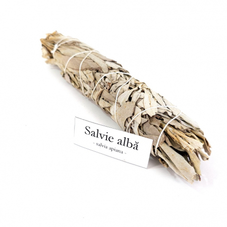 Buchet mare de salvie alba pentru fumigatii [1]