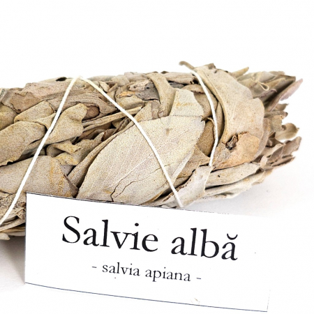 Buchet mare de salvie alba pentru fumigatii [2]