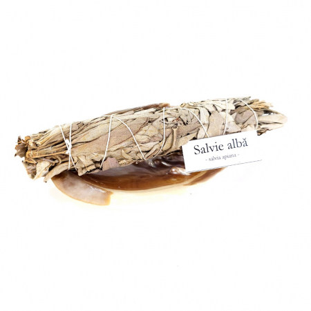 Buchet mare de salvie alba pentru fumigatii [3]