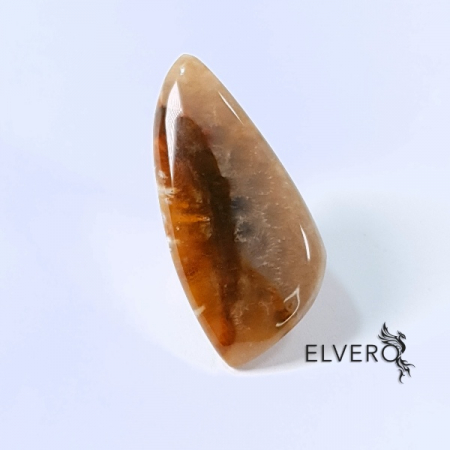 Cabochoane pietre naturale - Coral fosilizat natural cabochon *