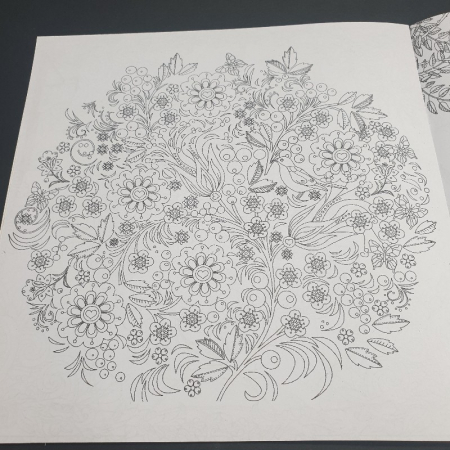 Mystery Garden, carte de colorat pentru copiii si adulti [2]
