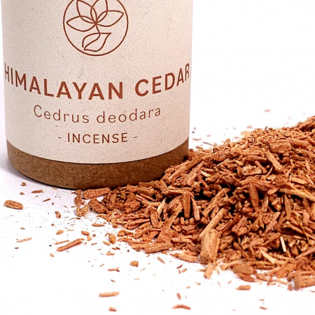 Cedru Himalaya (Cedrus Deodora) pentru fumigatii [1]