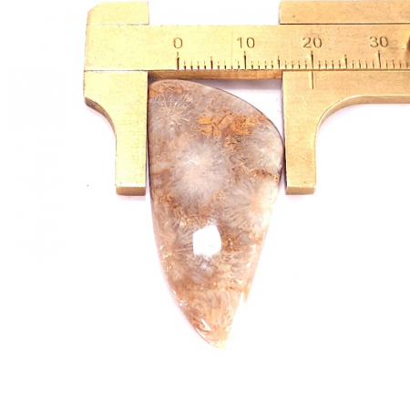 Coral fosil natural cabochon de 42 mm, culoare nativa [2]