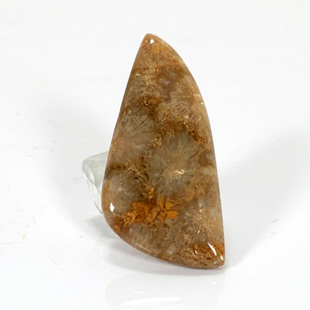 Cabochoane pietre naturale - Coral fosil natural cabochon de 42 mm, culoare nativa