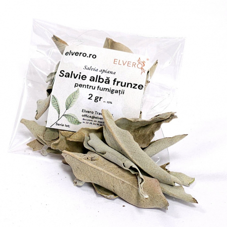 Frunze de salvie alba uscata pentru fumigatii [1]
