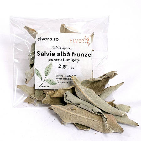 Plante sacre pentru fumigație - Frunze de salvie alba uscata pentru fumigatii