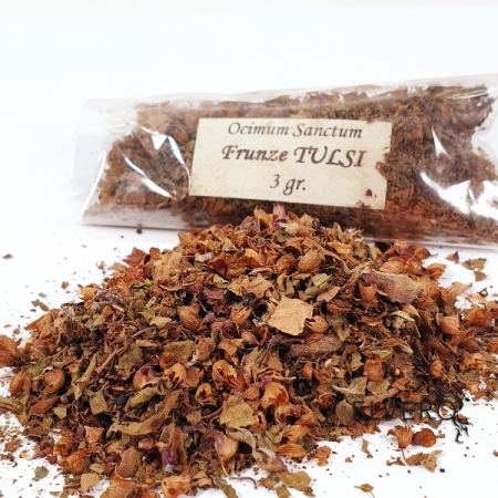 Plante sacre pentru fumigație - Busuioc sfant tulsi pentru ars