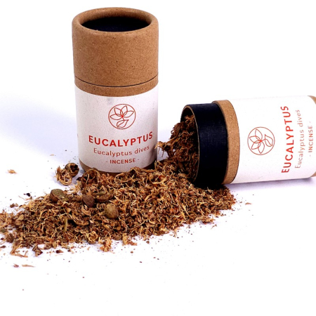 Plante sacre pentru fumigație - Eucalipt natural pentru aromaterapie