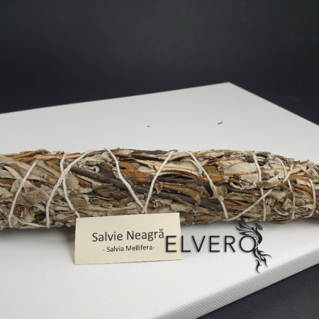 Salvie neagră, buchet mare, 22 cm, pentru fumigatii, Salvia Mellifera [3]