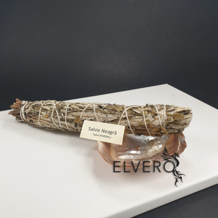 Plante sacre pentru fumigație - Salvie neagră, buchet mare, 22 cm, pentru fumigatii, Salvia Mellifera