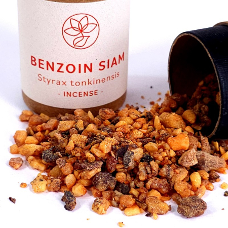 Tamaie Benzoin Siam si recipient [1]