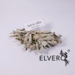 Salvie alba ramurele poza Fotografie salvie alba (salvia apiana) ramurele
