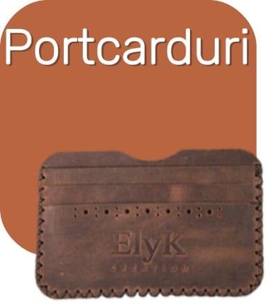 Portcarduri