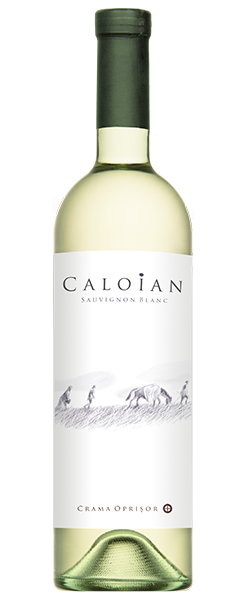 Caloian Sauvignon Blanc 0.75L [1]