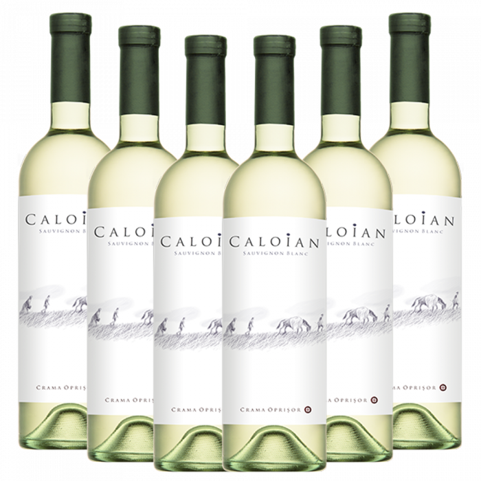 Pachet 5+1 Caloian Sauvignon Blanc 0.75L [1]