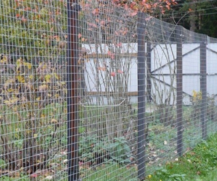 h 1.5m x 20m , ochi 65 x 75, 1.6mm Zinc,  ROLA PLASA SUDATA [3]