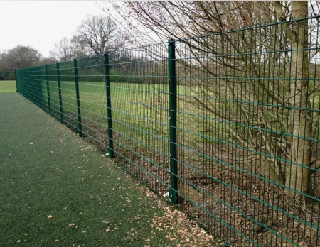1200x2500 6/5/6mm PANOU DUBLU FIR 2D VERDE (RAL6005) Plastifiat  [3]