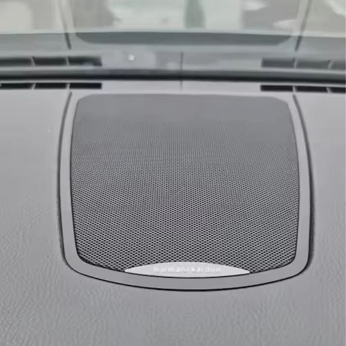 Grila Sita Boxa Difuzor Central Bord Dedicat BMW F10 F11 [5]