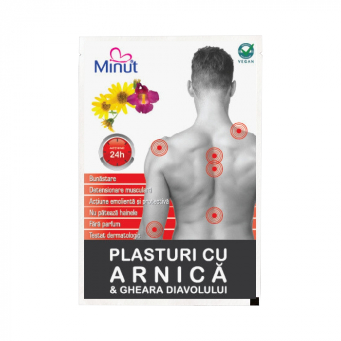 Plasture cu arnica si gheara diavolului, 9x14 cm [3]