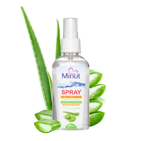 Dispozitive si accesorii medicale uz casnic - Gel spray antibacterian cu Aloe Vera, biocid, Minut, 80 ml