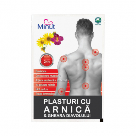 Plasture cu arnica si gheara diavolului, 9x14 cm [2]