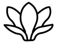 Celulele stem din floarea Magnolia