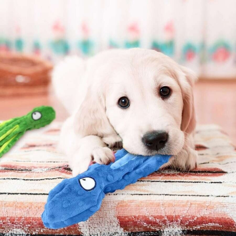 jucarie-pentru-animale-caracatita [3]