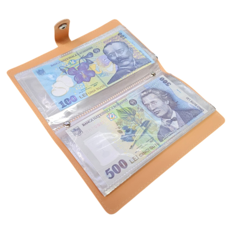 Organizator Economii cu 100 Compartimente Value Challenge [2]