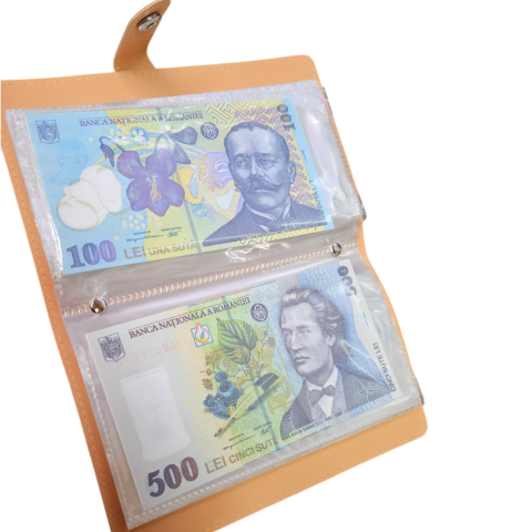 Organizator Economii cu 100 Compartimente Value Challenge [4]