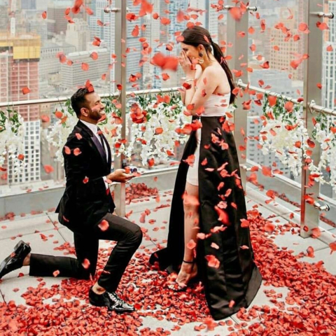 Petale Artificiale de Trandafir din Poliester Set 1000 Buc [8]