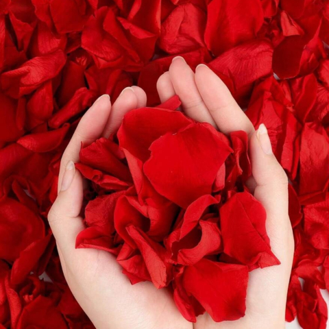 HOME & LIFESTYLE & DIVERSE - Petale Artificiale de Trandafir din Poliester Set 1000 Buc