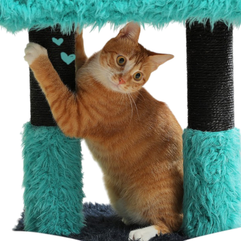 Turn de joaca pentru pisici 2 in 1 cu casuta detasabila si stalpi din sisal – design desen animat [6]