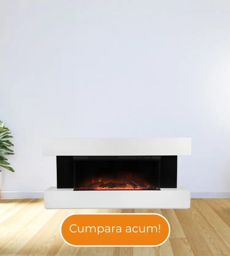 Seminee electrice 3D