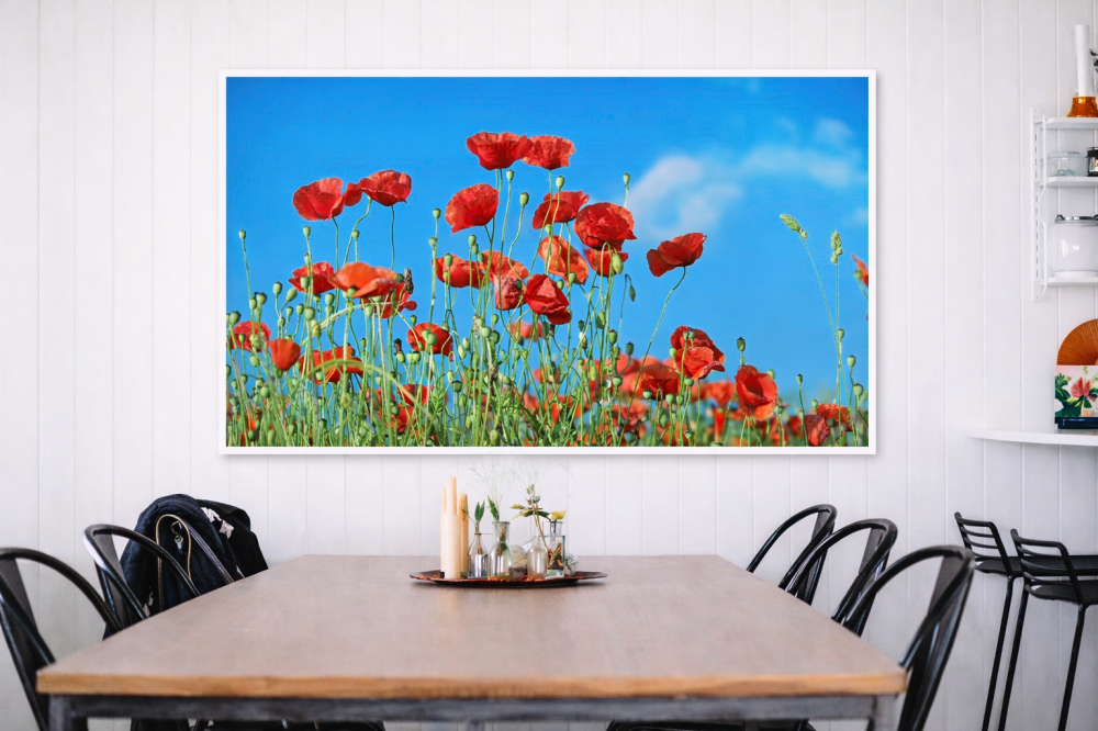 Sunplus Color Macii Camp [2]