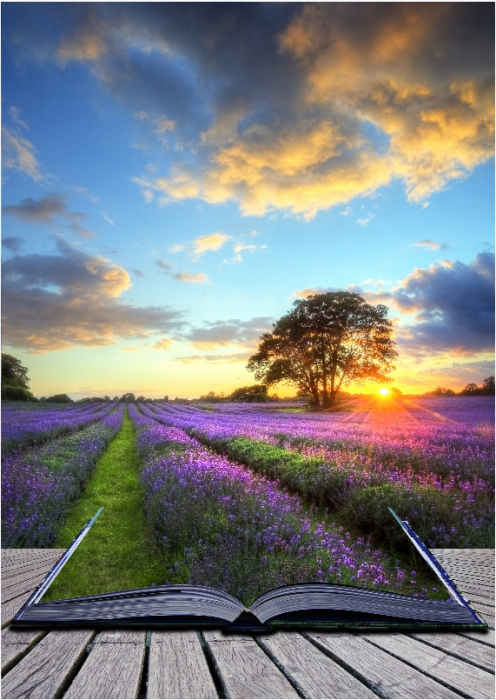 Sunplus Color lavanda [1]
