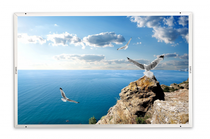 Sunplus Color oceanul [1]