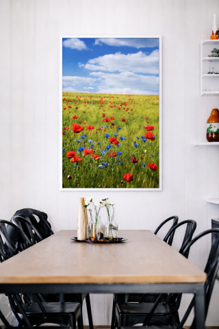 Sunplus Color Macii Camp [1]