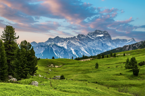 Panouri radiante COLOR - Sunplus Color macii